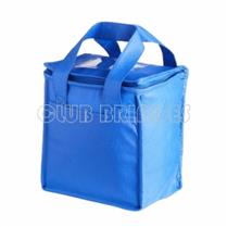 Bolsa Térmica 5 Litros - T2099